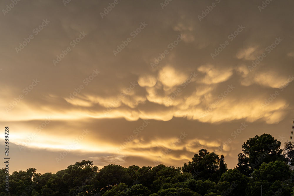 Nice orange mammatus clouds at sunset