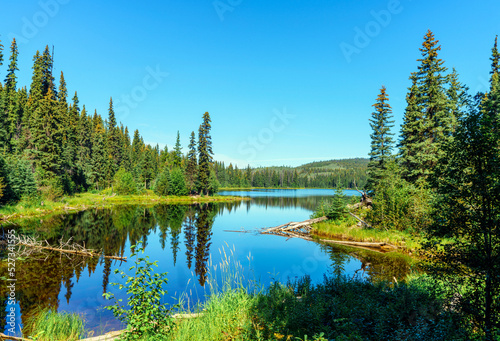 Reflections on a Northern BC wilderness lake on a sunny summer day.