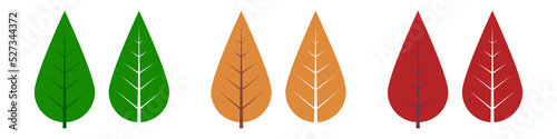 Set of color leaf vector isolated icon. Autumn leaf design.