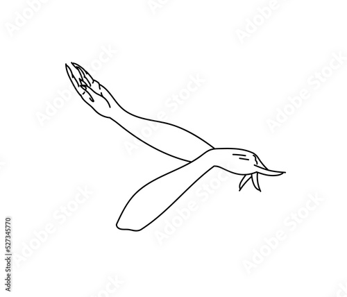 Vector line art illustration of woman hands in traditional folk dance of Uyghurs people, Uighur iconic culture as black logo or icon isolated on white background