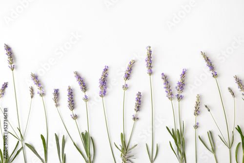 Floral background with blooming lavender spikes on white table top