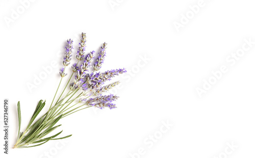 Background with bouquet of lavender spikes on white table