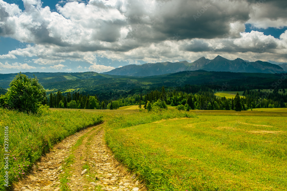 Tatras Mountains, green rolling hills of meadows and wild forest at summer