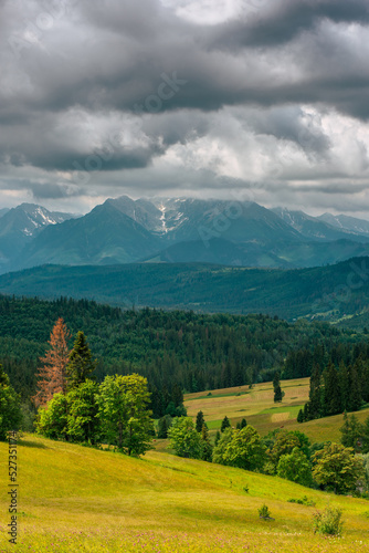 Tatras Mountains, green rolling hills of meadows and wild forest at summer
