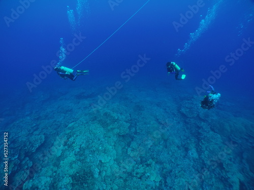 Scuba diving with Manta ray in Yap, Micronesia（Federated States of Micronesia）