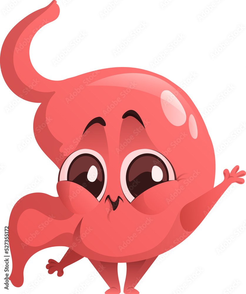 Stomach cartoon Stomach cartoon