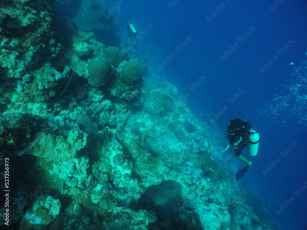 Naklejka premium Scuba diving with Manta ray in Yap, Micronesia(Federated States of Micronesia)