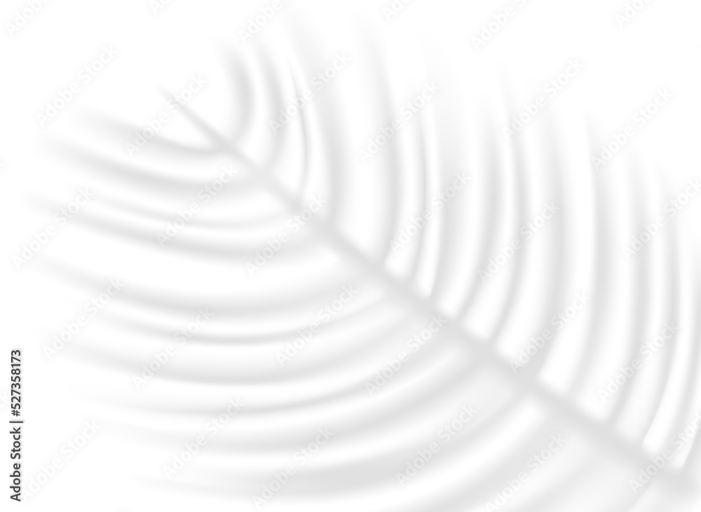 Palm leaf shadow overlay effect on transparent background Palm leaf shadow overlay effect on transparent background