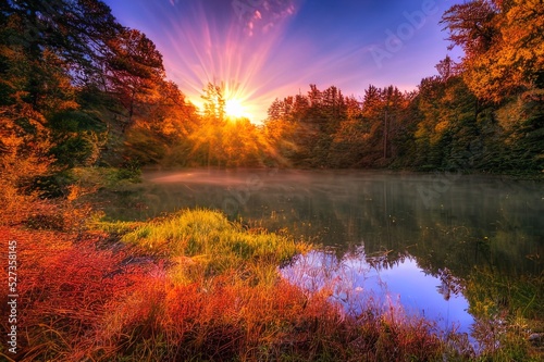 A beautiful autumn golden forest is reflected in the calm water of the lake. Autumn tranquil mood. Natural wallpaper