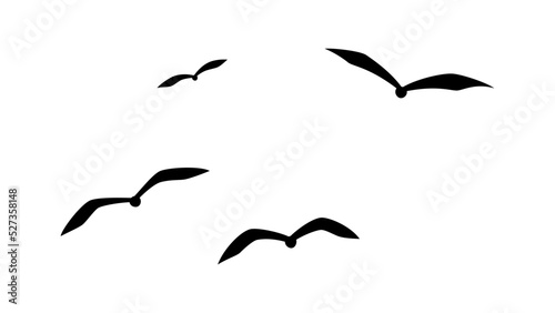 正面から見た飛ぶ鳥の群れ_シルエット素材