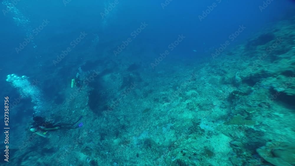 Scuba diving with Manta ray in Yap, Micronesia(Federated States of Micronesia) Scuba diving with Manta ray in Yap, Micronesia(Federated States of Micronesia)