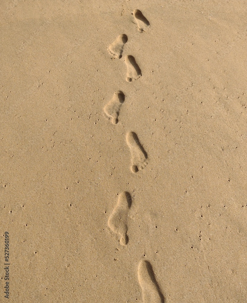 capture of humans footprints in the clear sand on the beach side capture of humans footprints in the clear sand on the beach side