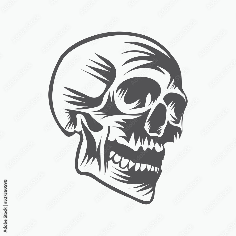 Skull head vector illustration on white background. Skull head vector illustration on white background.