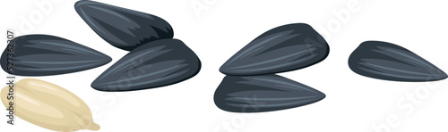 Sunflower cartoon seeds. Delicious kernels in black shells