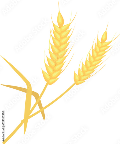 Wheat ears icon. Cartoon field grain crop