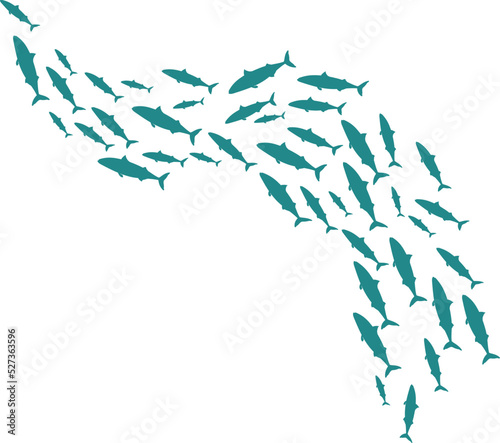 Fish schooling curve. Underwater life. Marine ecosystem