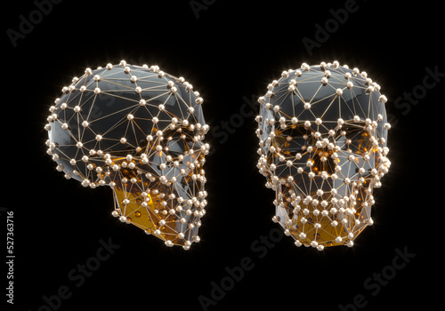 diamond skull