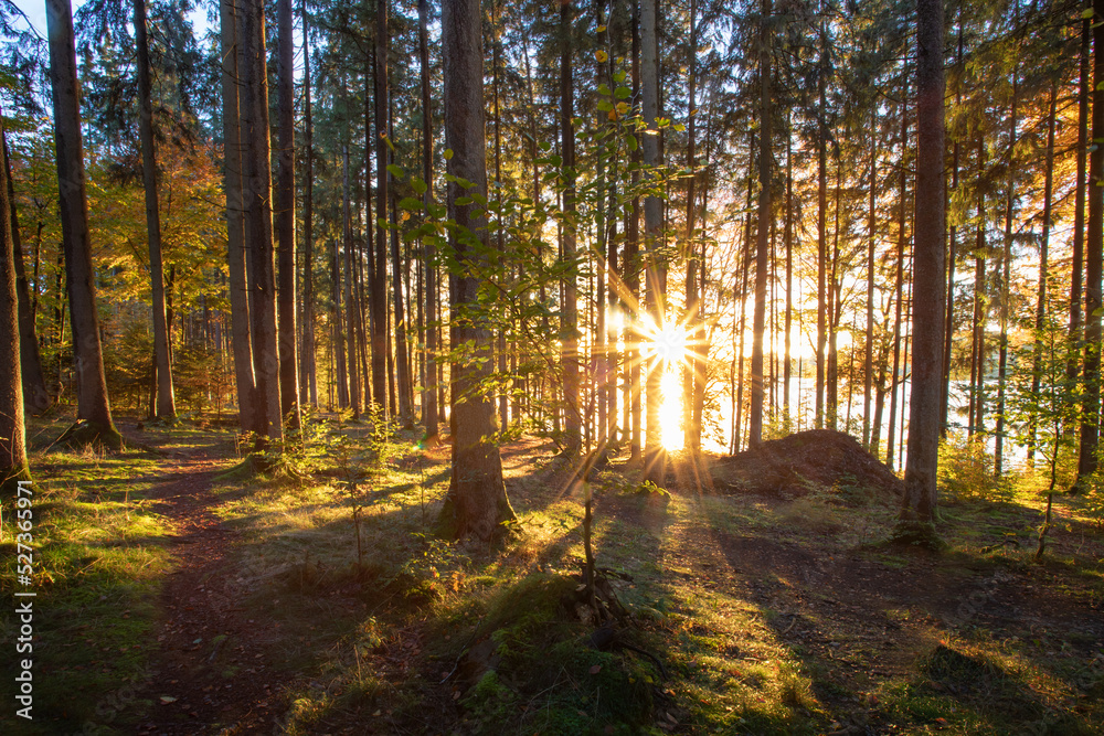 Obraz premium Sonnenuntergang, Herbstwald, Hofstätter See