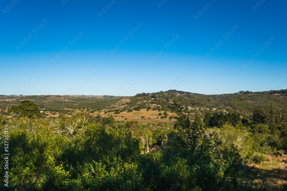 landscape with trees landscape with trees