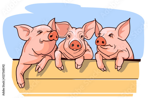 Pig with a pig with a pig, three pigs.
vector illustration.