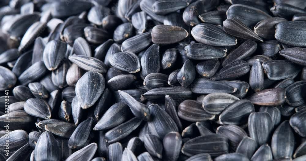The sunflower seeds on a plate close-up. The sunflower seeds after harvest. Pile of Dried Sunflower Unpeeled Seeds, a Healthy Source of Vitamins in Vegan Food. The sunflower seeds on a plate close-up. The sunflower seeds after harvest. Pile of Dried Sunflower Unpeeled Seeds, a Healthy Source of Vitamins in Vegan Food.