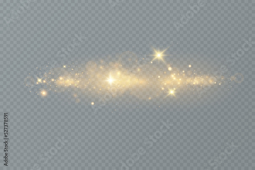 Golden sequins glow with many lights. Glittering dust. Luxurious background of golden particles.
