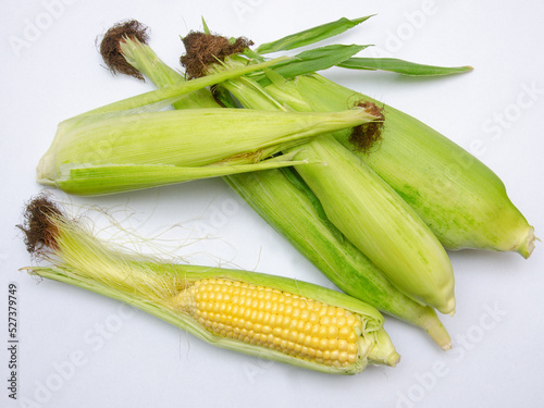 corn on the cob, fresh and ripe corn on the cob, open and closed on a light background, close up