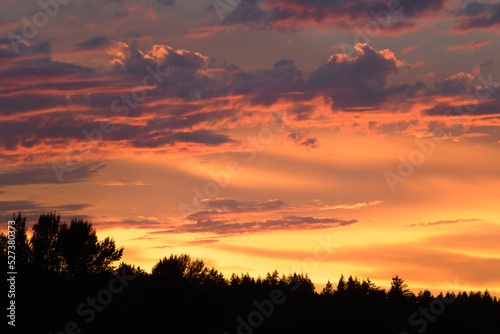 Warm orange glow of sunset over tree line with pink edges to clouds and bright yellow band of light on horizon