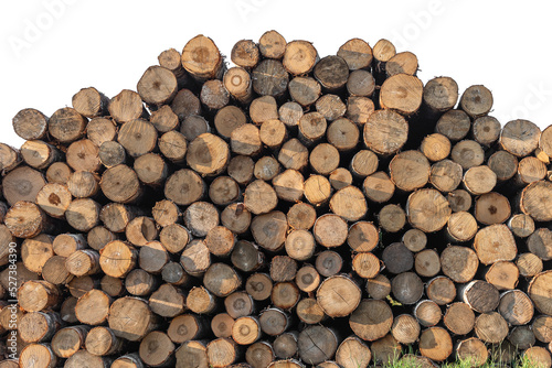 Sawn birch logs stacked on a white isolated background.