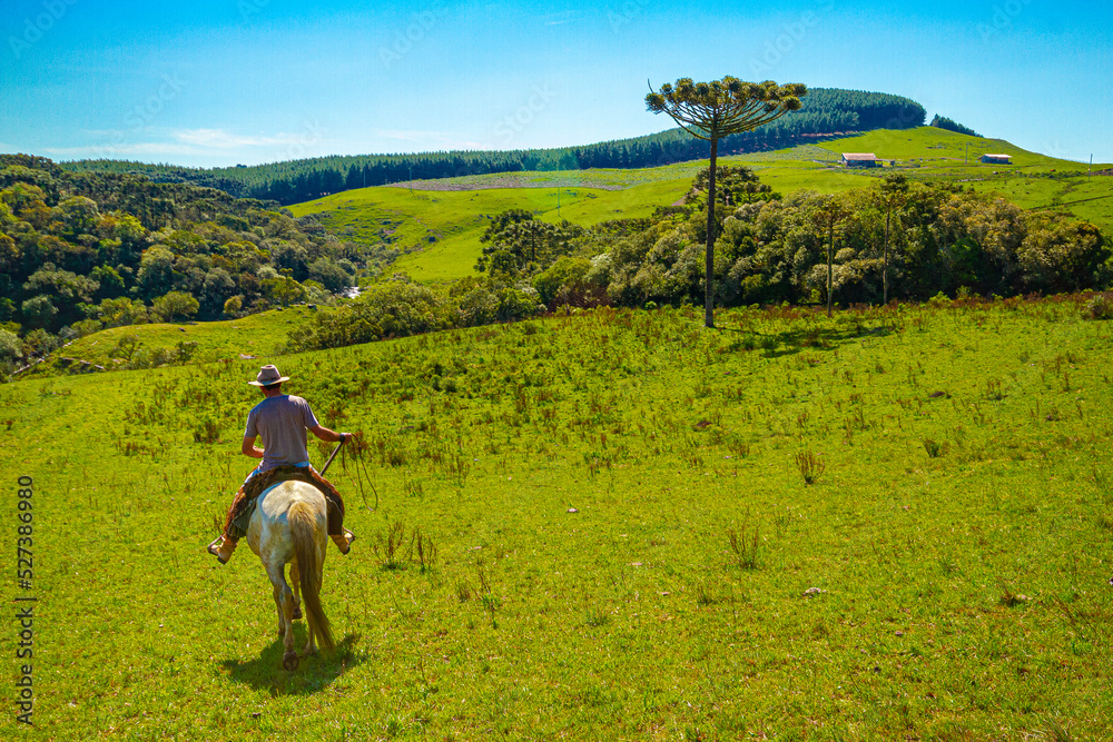 horseback in the field in southern brazil