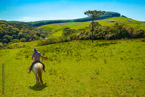horseback in the field in southern brazil