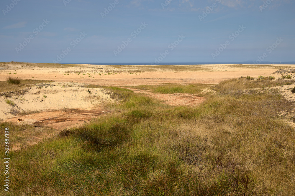 Drought. Dry lagoon in a protected area of the Galicia region, in Spain