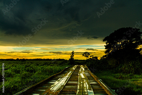 Transpantaneira railway in the evening, Pantanal, Brazil photo