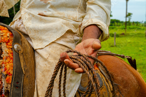 a hand holding a rope at Pantanal, Brazil photo