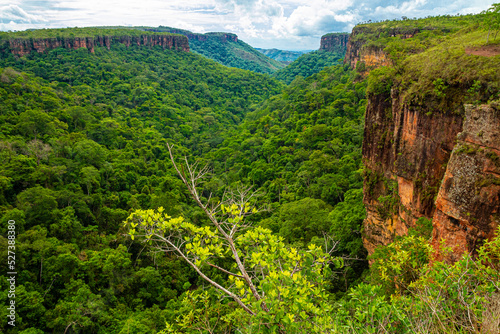 landscape with trees at Chapada dos Guimarães, Brazil