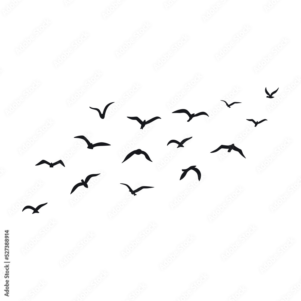 Obraz premium A flock of flying silhouette birds. Vector illustration