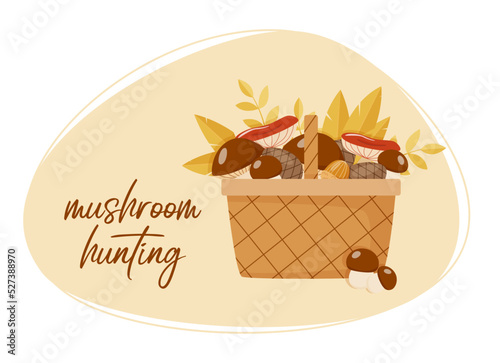 Mushrooms in a basket. Autumn forest. Vector flat illustration for web design, prints, greeting cards.