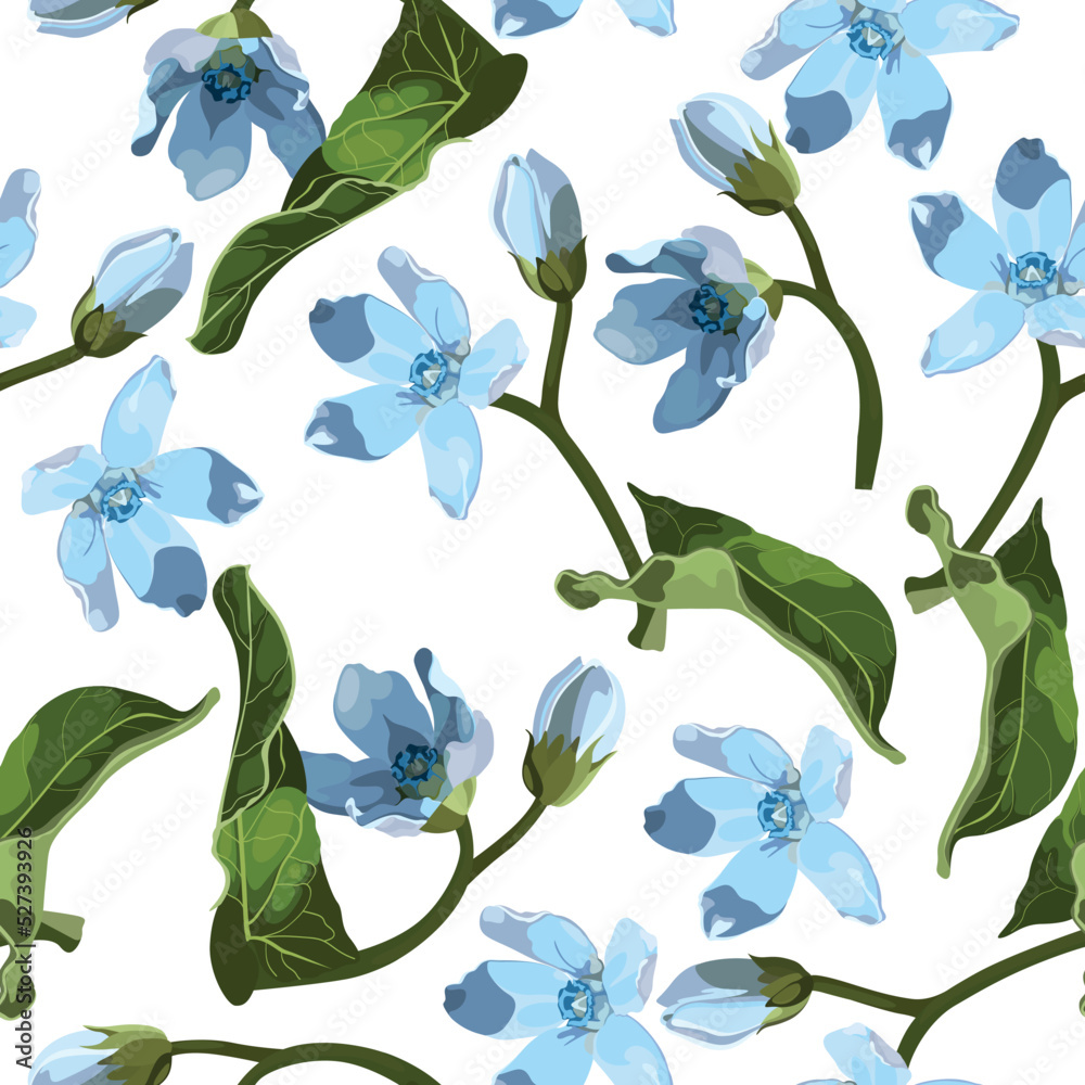 Seamless pattern with blue oxypetalum flowers, a white background. Hand drawn sketch. Template for floral textile design, paper, wallpaper, web. Seamless pattern with blue oxypetalum flowers, a white background. Hand drawn sketch. Template for floral textile design, paper, wallpaper, web.