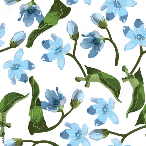 Seamless pattern with blue oxypetalum flowers, a white background. Hand drawn sketch. Template for floral textile design, paper, wallpaper, web. photo