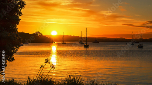 Sunset Whangarei, New Zealand photo