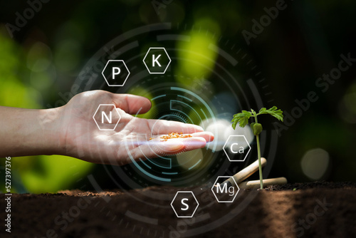 Wallpaper Mural Farmer giving granulated fertilizer to young seedling sprout plants. Chemical element symbol icon. Torontodigital.ca