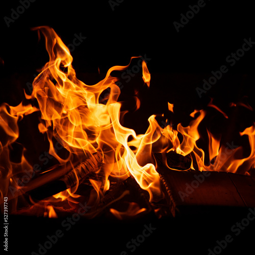 Burning camp fire on a black background | Flames on a dark background