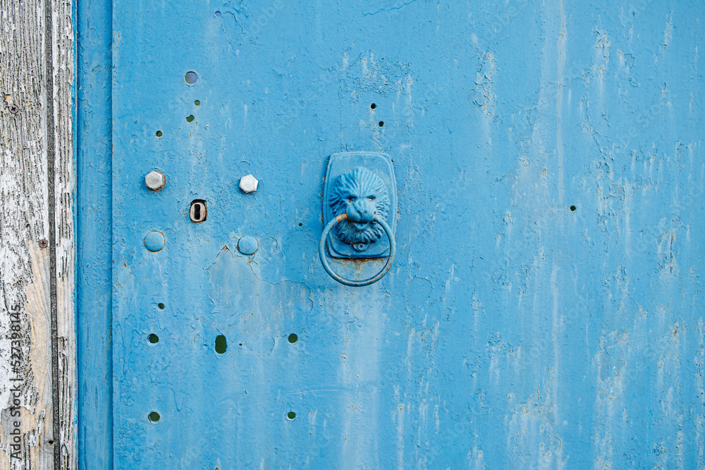 Close up of an old enterance door with a small lion head handle Close up of an old enterance door with a small lion head handle