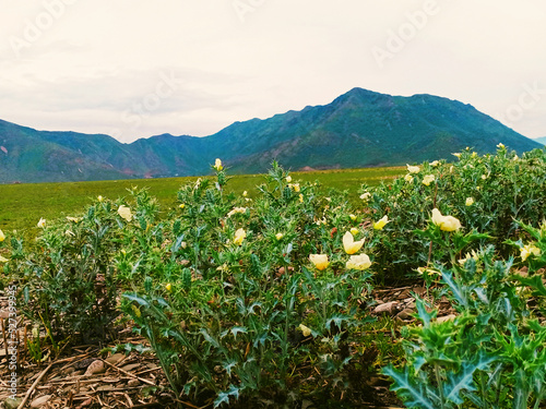 Beautiful and breath-taking landscape near Tarbela lake Pakistan  photo