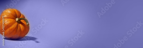 The banner is lilac in color. Close-up of a whole ripe orange pumpkin on a lilac background. The shadow of a pumpkin on the surface. With a space to copy. High quality photo