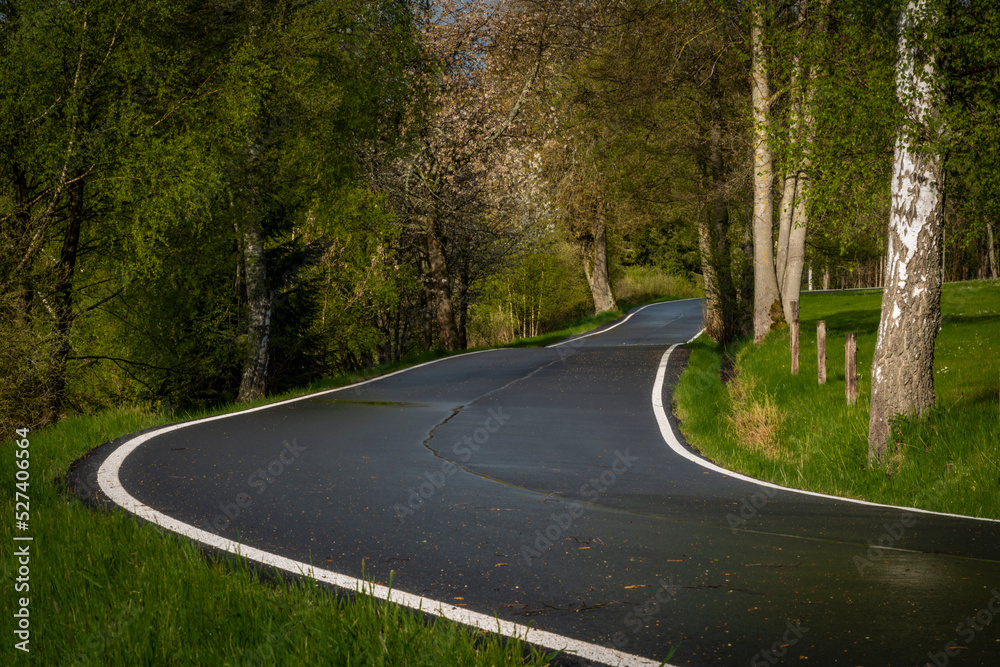 Fototapeta premium Morning on wet black road after rain near Nejdek town in north Bohemia