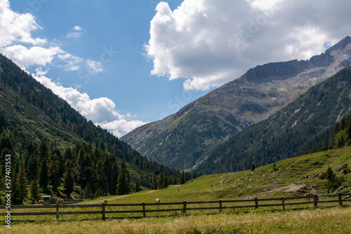 Impressive alpine view of high peaks in summer