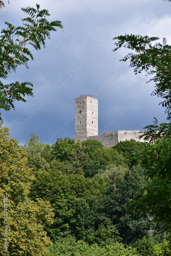 Zamek, Krolewski, w, Checinach, wieza, architektura, Zamek, Krolewski, w, Checinach, wieza, architektura,