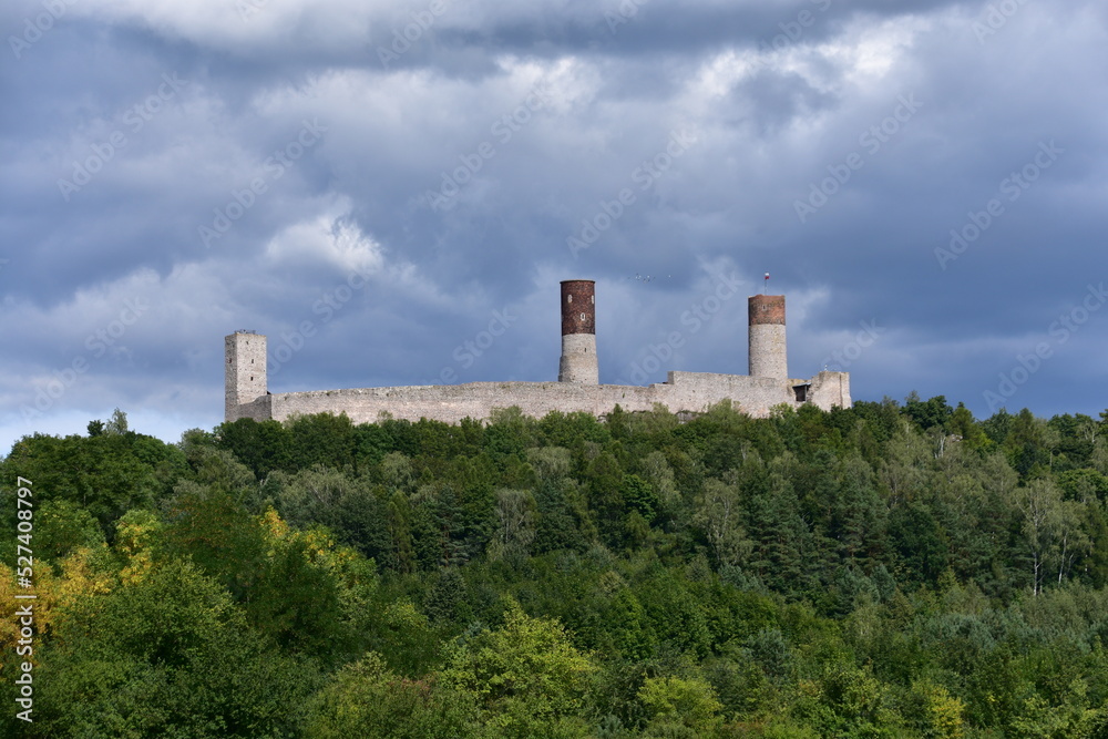 Zamek, Krolewski, w, Checinach, wieza, architektura, budowa, 