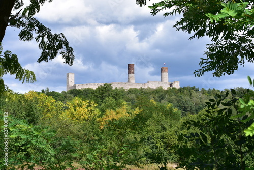 Zamek, Krolewski, w, Checinach, wieza, architektura, budowa,  photo